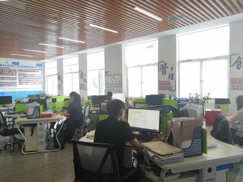 保亭縣電子商務(wù)公共服務(wù)中心誠(chéng)邀英才，共促商務(wù)信息咨詢服務(wù)發(fā)展