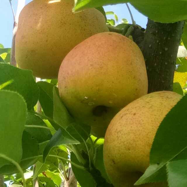 寧蒗縣電子商務公共服務中心 聚焦高原特色優(yōu)質(zhì)農(nóng)產(chǎn)品，發(fā)布供求信息與商務咨詢服務